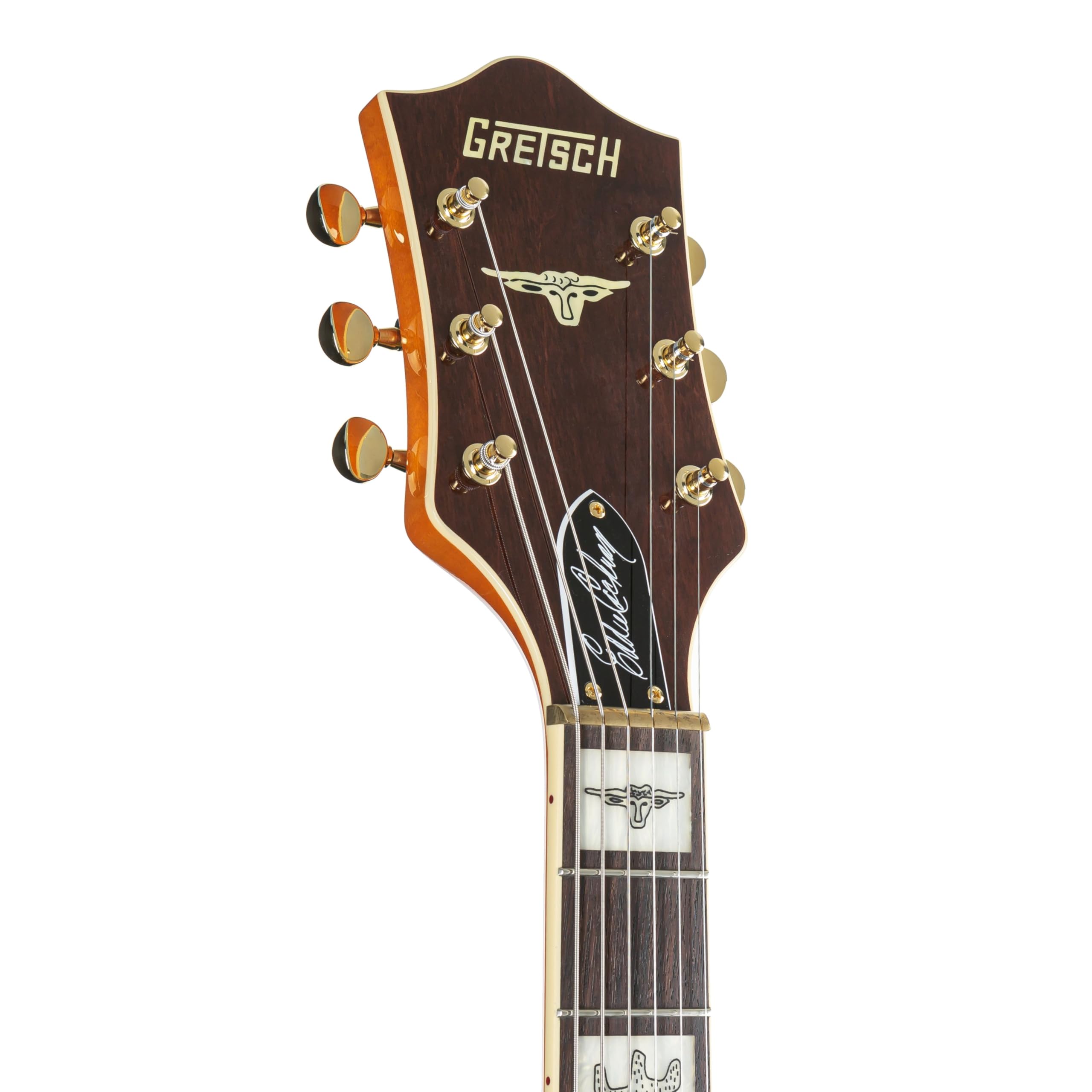 Amazon.com: Gretsch G6120 Eddie Cochran Signature Hollow Body